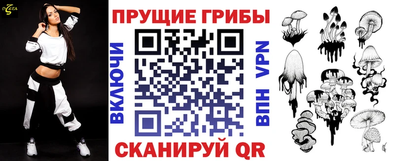 Псилоцибиновые грибы мицелий  цена   Шахты 