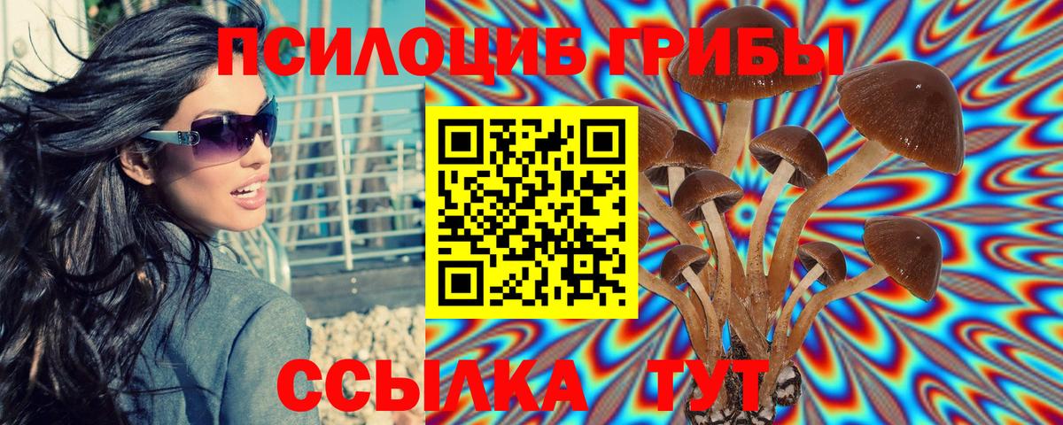 Галлюциногенные грибы мицелий Шахты